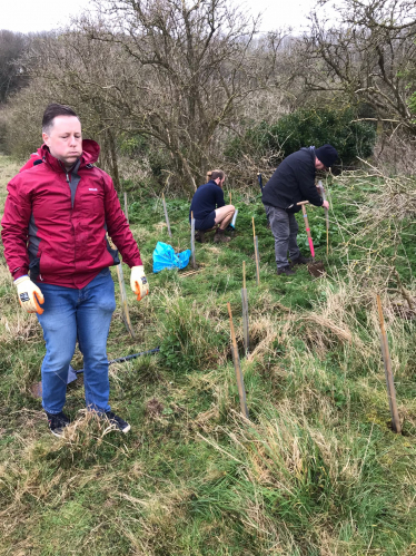 Cllr Dan Humphreys at Tree Planting